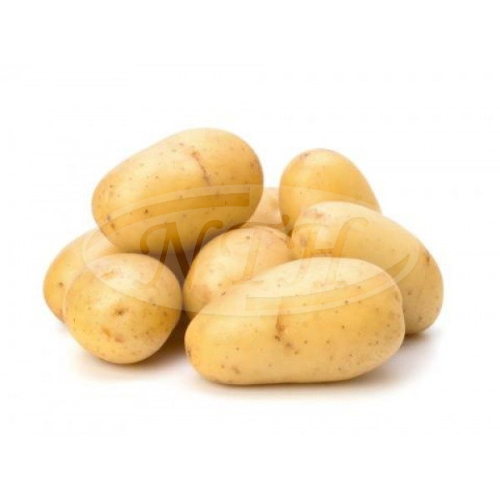 Potato/  Ubi Kentang